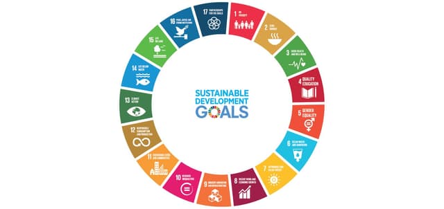 Image of the United Nations sustainable development goals
